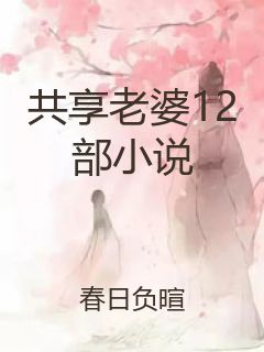 共享老婆12部小说封面