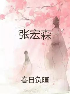 张宏森封面