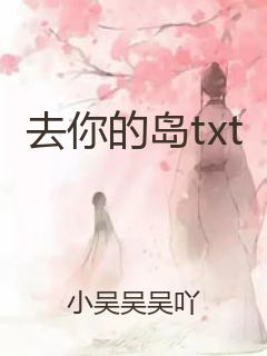 去你的岛txt封面
