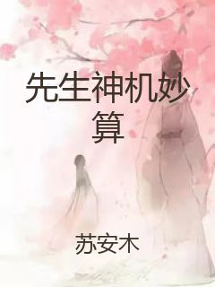 先生神机妙算