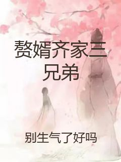 赘婿齐家三兄弟封面