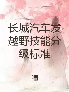 长城汽车发越野技能分级标准封面