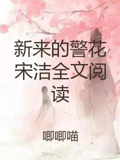新来的警花宋洁全文阅读封面