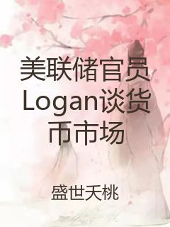 美联储官员Logan谈货币市场封面
