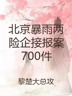 北京暴雨两险企接报案700件封面