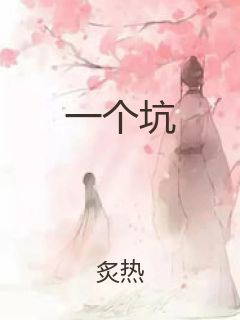 一个坑封面
