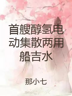 首艘醇氢电动集散两用船吉水封面