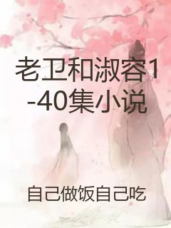 老卫和淑容1-40集小说封面