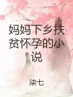 妈妈下乡扶贫怀孕的小说封面