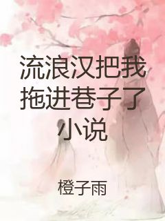 流浪汉把我拖进巷子了小说封面