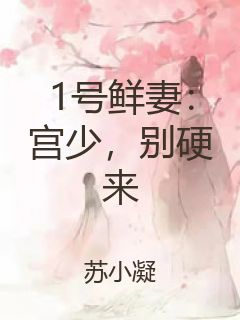 1号鲜妻：宫少，别硬来封面