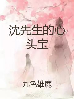 沈先生的心头宝封面