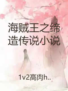 海贼王之缔造传说小说封面