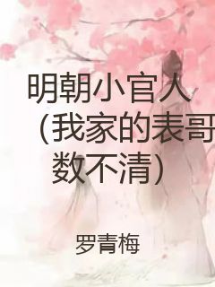 明朝小官人（我家的表哥数不清）封面