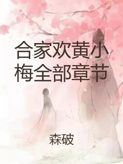 合家欢黄小梅全部章节